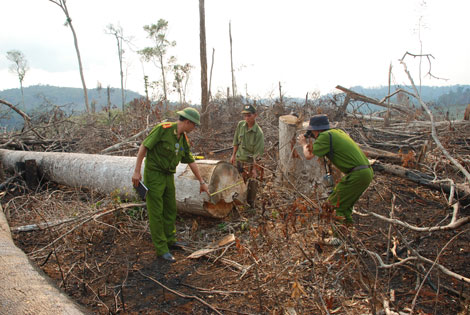 [-]Điều[-]tra,[-]xử[-]lý[-]vụ[-]phá[-]rừng,[-]lấn[-]chiếm[-]đất[-]ở[-]huyện[-]Tuy[-]Đức,[-]Đắk[-]Nông[-]